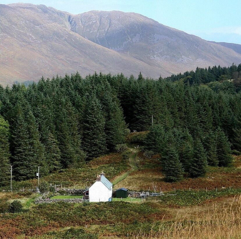 Torgarve woodland and cottage in Applecross