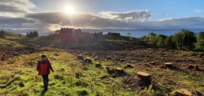 Applecross Community Company Torgarve woodlands Oct 21